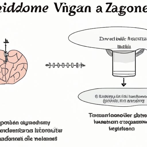 VI. Understanding the Mechanisms of Trazodone and Weight Gain
