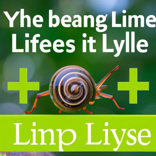 The Role of Lifestyle Changes in Treating Lyme Disease