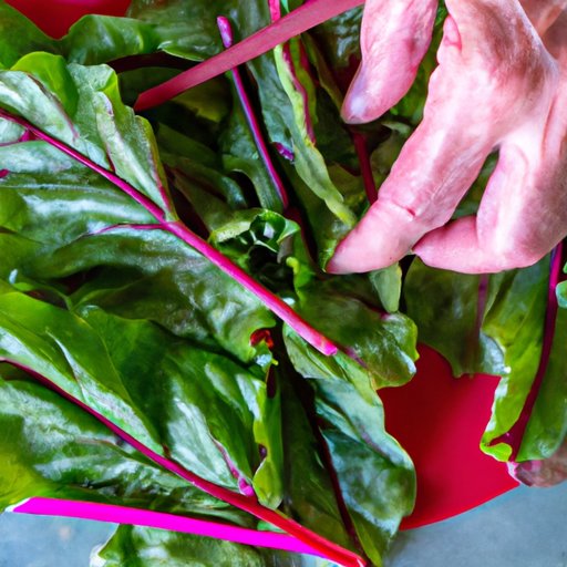 How to Properly Prepare and Cook Beet Leaves to Enhance Flavor and Texture