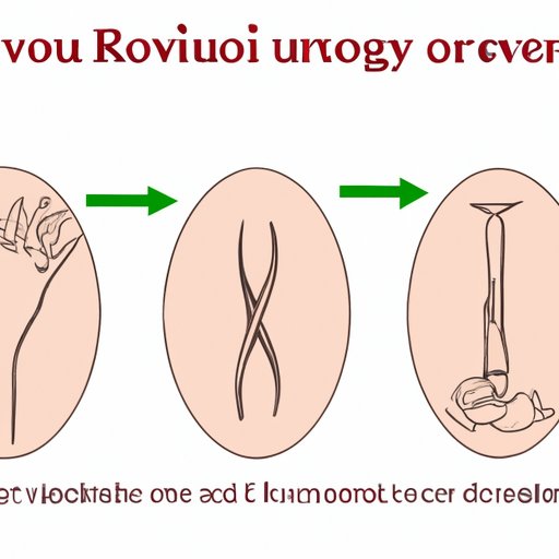 III. Uterus Removal: Understanding the Procedure and Recovery Process