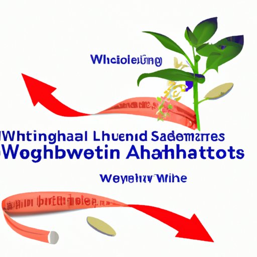 II. The Science Behind Ashwagandha and Weight Loss: Separating Fact from Fiction