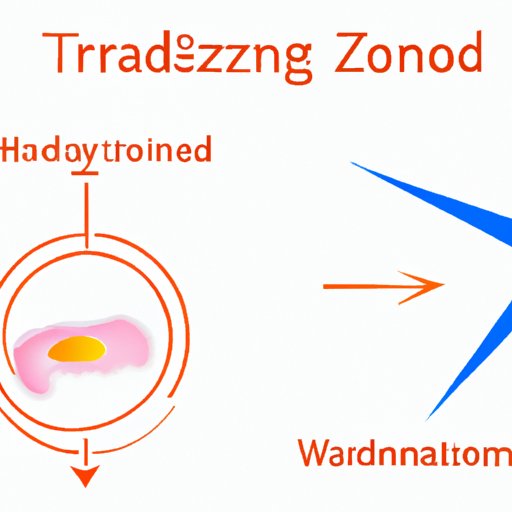 How trazodone affects the hormones that control hunger and satiety
