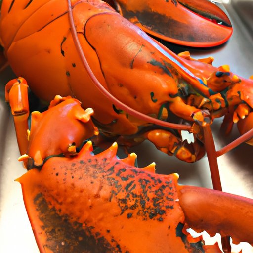 Seafood 101: How to Cook and Crack Open a Lobster Easily