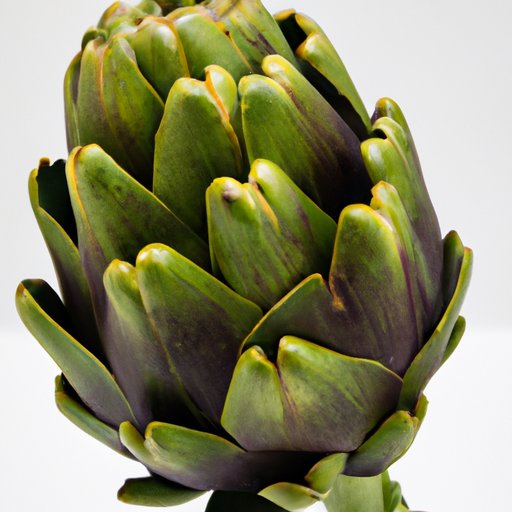 Artichoke 101: The Basics of Choosing and Cooking this Delicious Vegetable