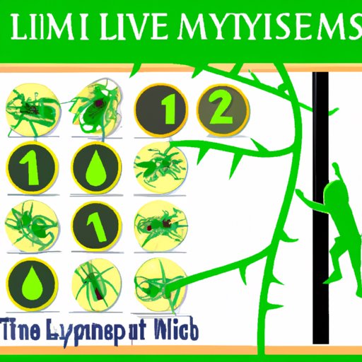 VIII. Management Techniques for Lyme Disease and Autoimmune Diseases