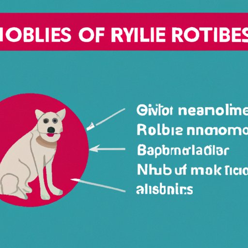 Living with Rabies: Coping with the Diagnosis and Managing Symptoms