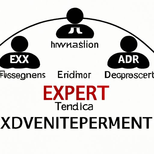 IV. Expert Assessment and Potential Drivers of the End